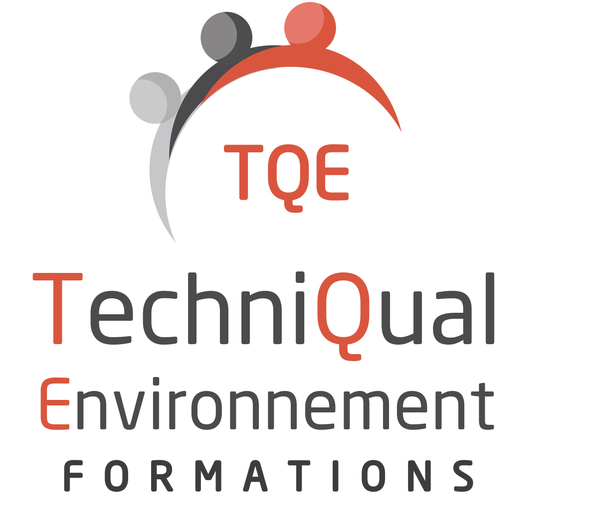 LE NOUVEAU LOGO DE TQE